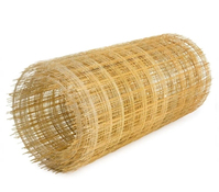 Сетка композитная армирующая 0,2х10 м (2,5х50х50)